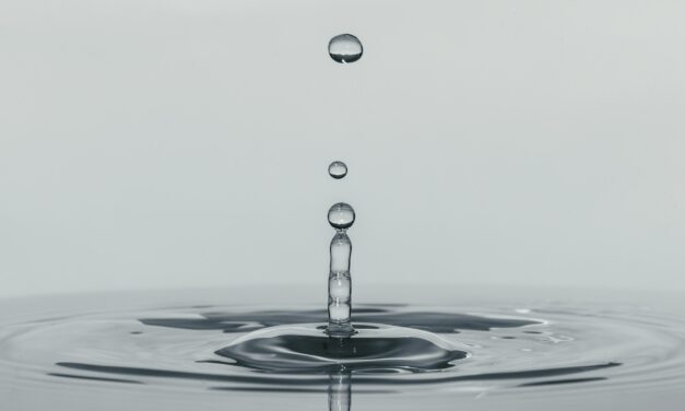 Bill Gross on Bond Market Liquidity Risks and Sovereign Debt Stress